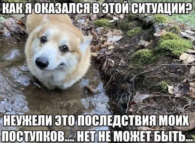 ������ ����� � ���� �� ���� (15 ����)