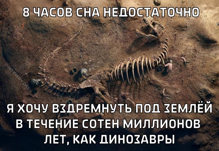 �������� ���������� ���� �3961 (30 ����)