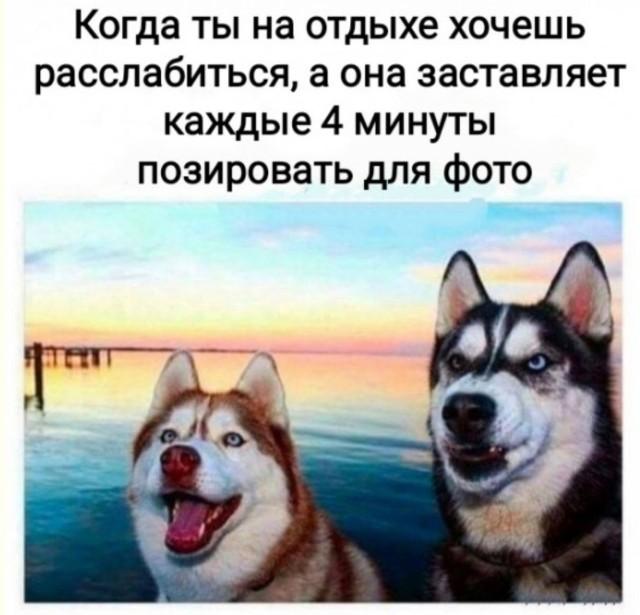 ������� �������� (15 ����)
