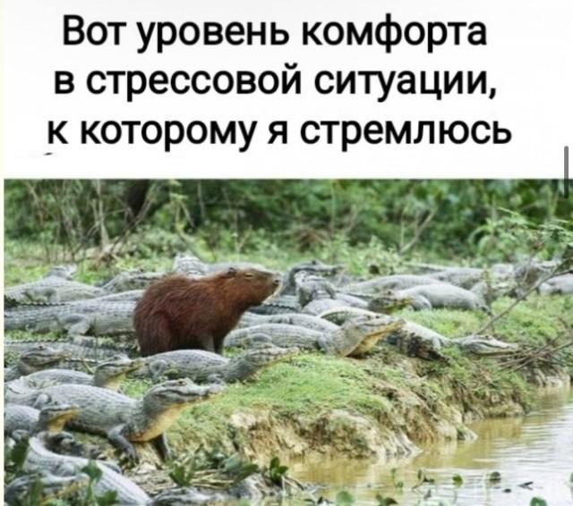 ������� ���� (15 ����)