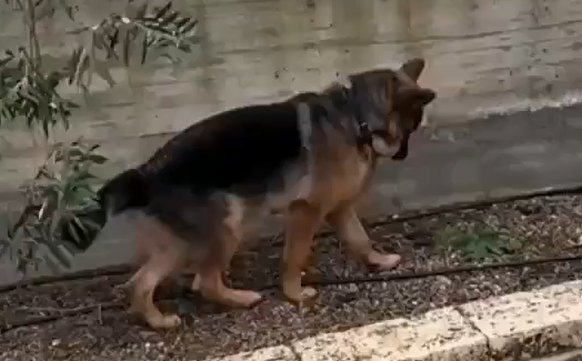 �� ��������� ��������� ����� �������� �� ������� ������ (�����)