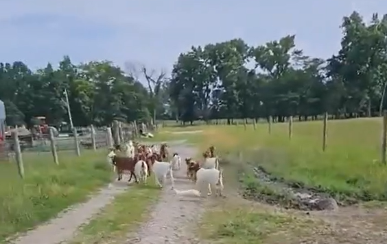 ��� �������� ����� ������ � ������ ������ �������� � ����� (�����)