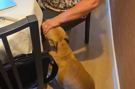 ���, ���, ���, ������, ����, �� ��� ������ (�����)