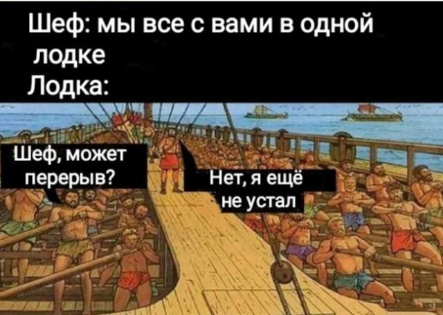 ������� ���� (15 ����)