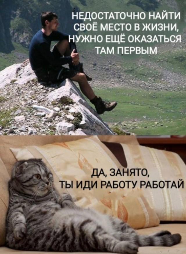 �������� ���������� ���� �3965 (30 ����)