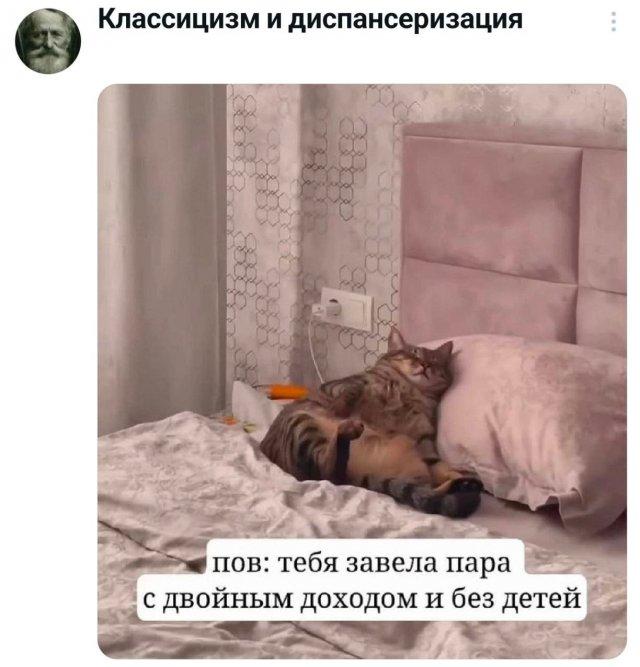�������� �������� ������ ��� ���� (15 ����)