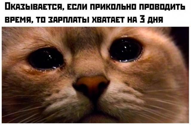 ������ ����� � ���� �� ���� (15 ����)