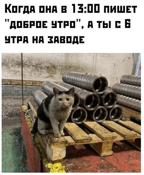 �������� ���������� ���� �3966 (30 ����)