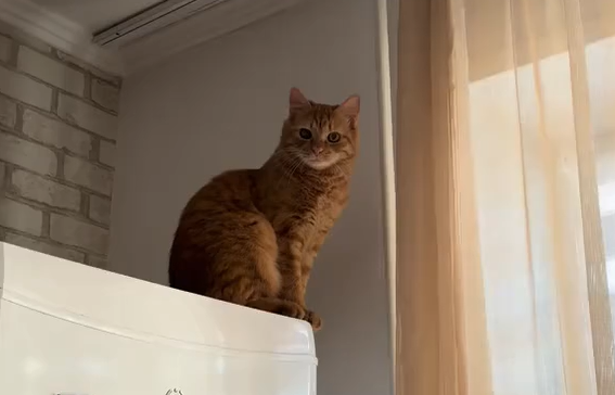  ����� �� ������ ����� (�����)