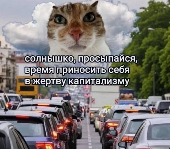 ������� �������� (15 ����)