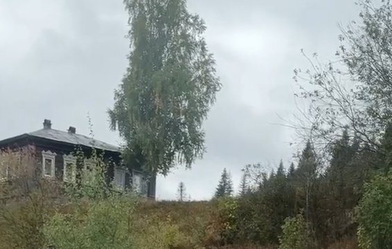������� �����... (�����)