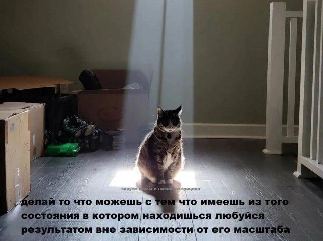 ������� �������� (15 ����)