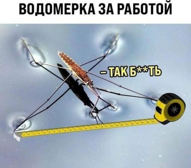 ������ ����� � ���� �� ���� (15 ����)