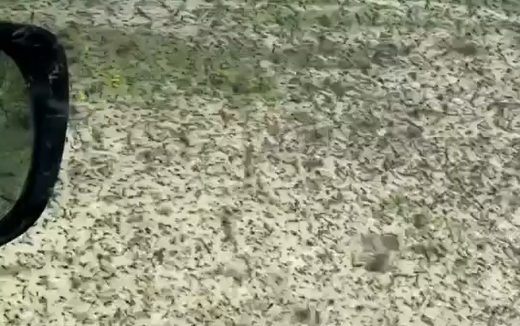 � ������� ���� ������� ��������� ���������� (�����)