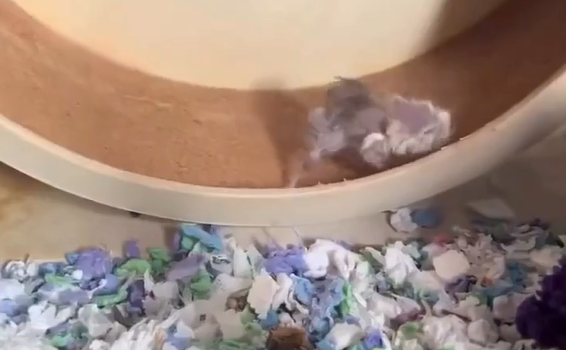 �����������... (�����)