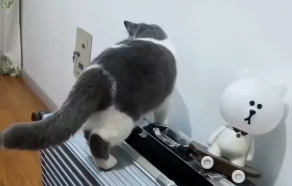 � ������� (�����)