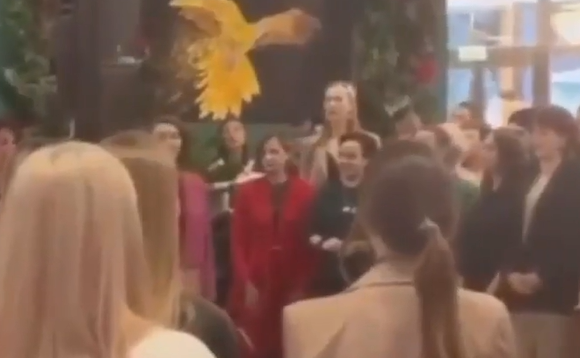 ��, ������� � ���� (�����)