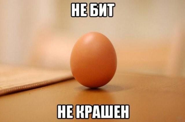 ������� �������� (15 ����)