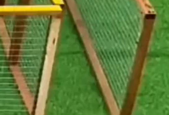 �������� �������� (�����)