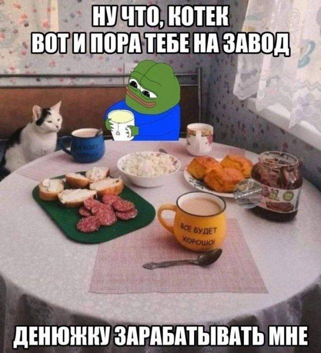 ������� �������� (15 ����)