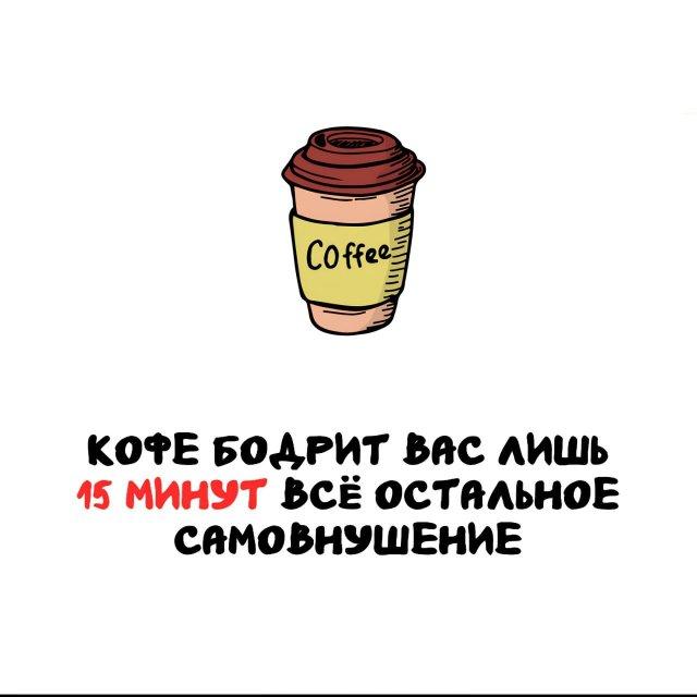 ���������� ����� �� ��� ������ ����� (15 ����)