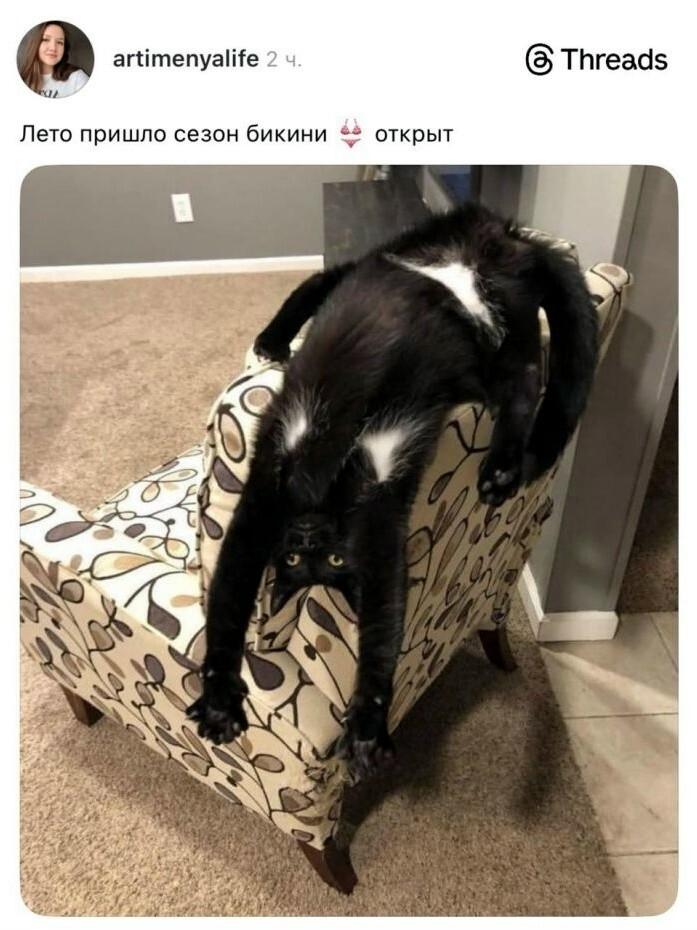 �������� �������� ������ ��� ���� (15 ����)