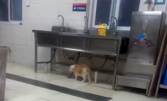 ����� �� ������ � ������ (�����)