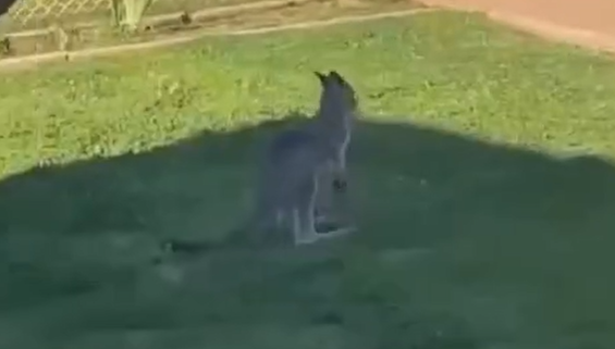 ���������� ��� ������� ���������� ������� (�����)