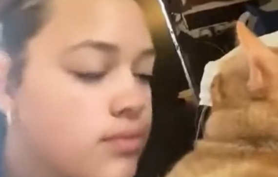 �������� ������ � ������ (�����)