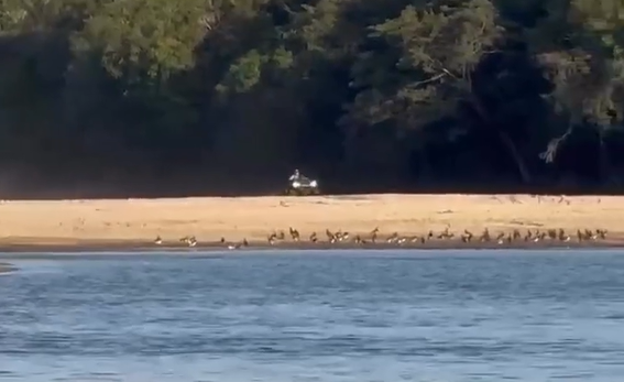 ���������������� (�����)