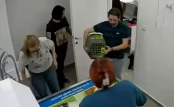 ��� ������� ������ � ������������ ������� (�����)