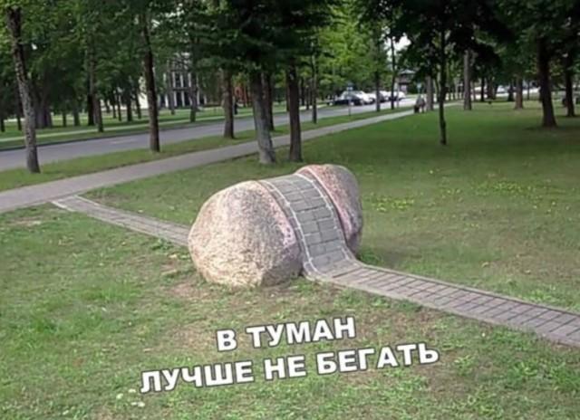 ������� ���� (15 ����)