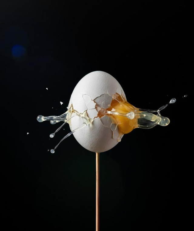 ������� ����: ������ ������ World Food Photography Awards 2026 (8 ����)