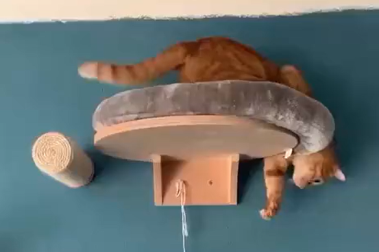 ��� ����� (�����)