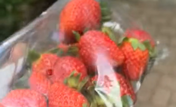 �������� � �������� ������ �� �������� (�����)