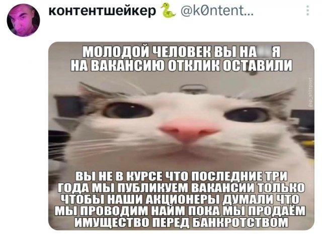 �������� �������� ������ ��� ���� (15 ����)