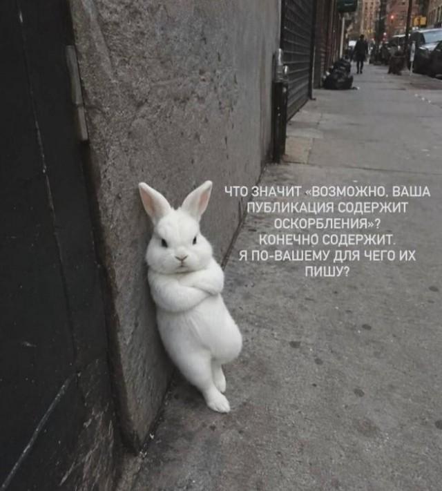 ������� �������� (15 ����)