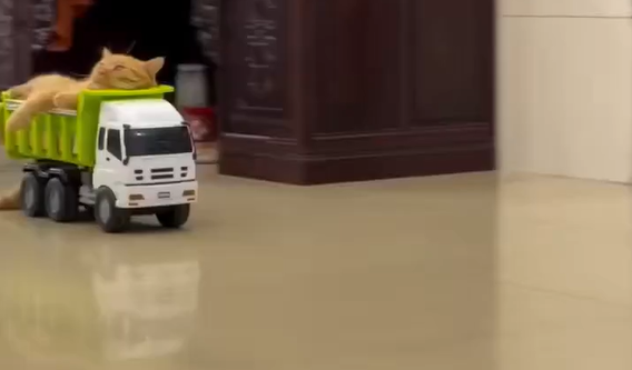 ������ ��������� (�����)
