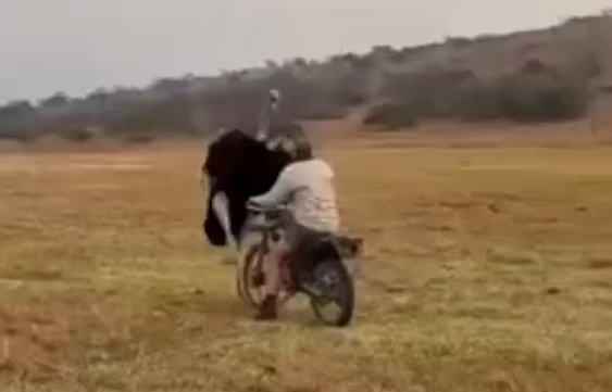 ������� ������ �� ����� (�����)