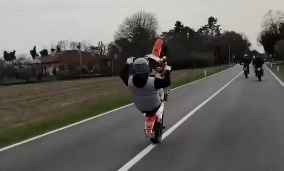 ������ (�����)