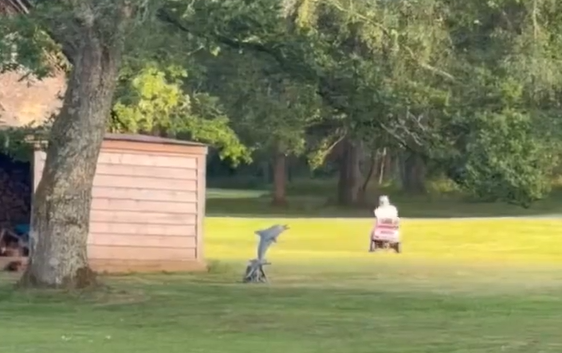 ��������� ����������� ������� (�����)