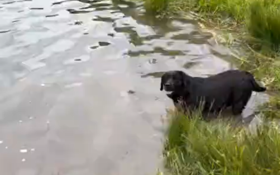 �������� ������ ���� (�����)