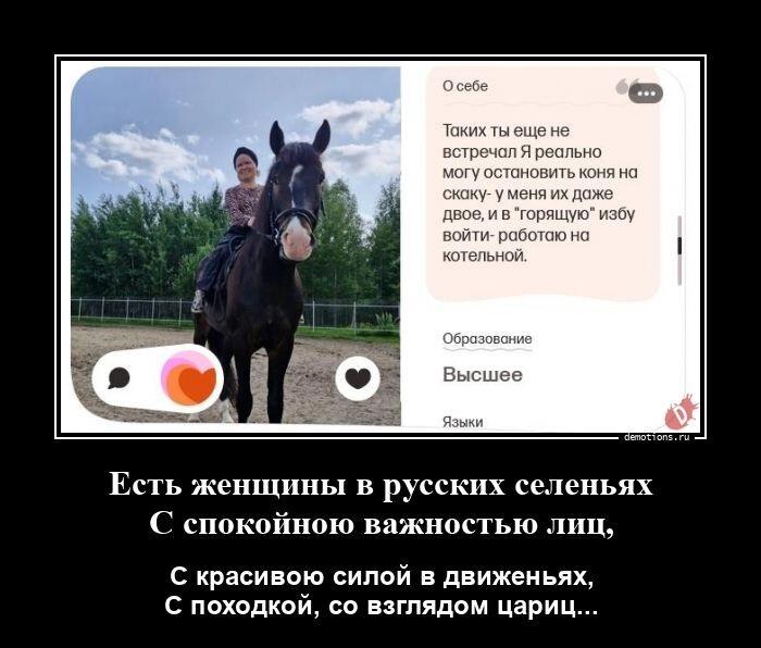 Демотиваторы №3804 (20 фото)