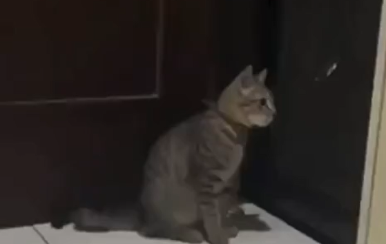 �������� � ������� (�����)