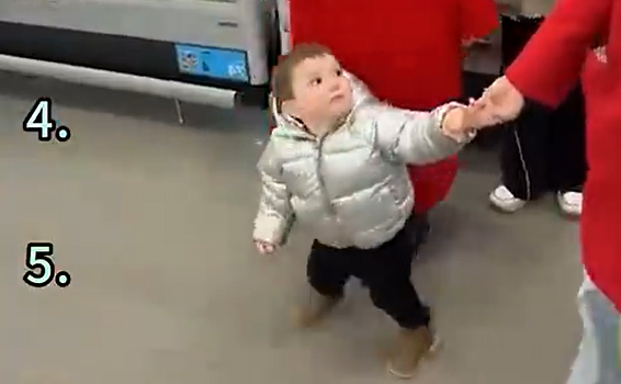 ����������� (�����)