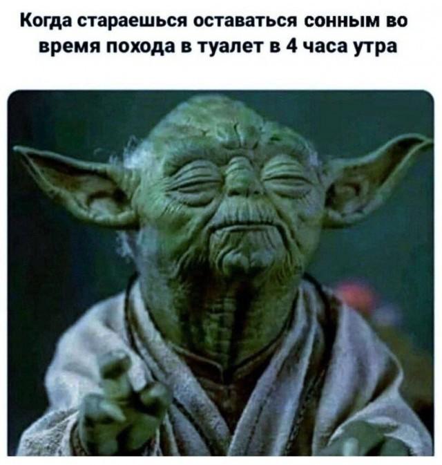 �������� ���������� ���� �3979 (30 ����)