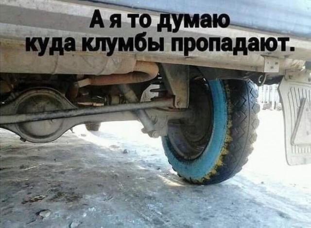 ������ ����� � ���� �� ���� (15 ����)