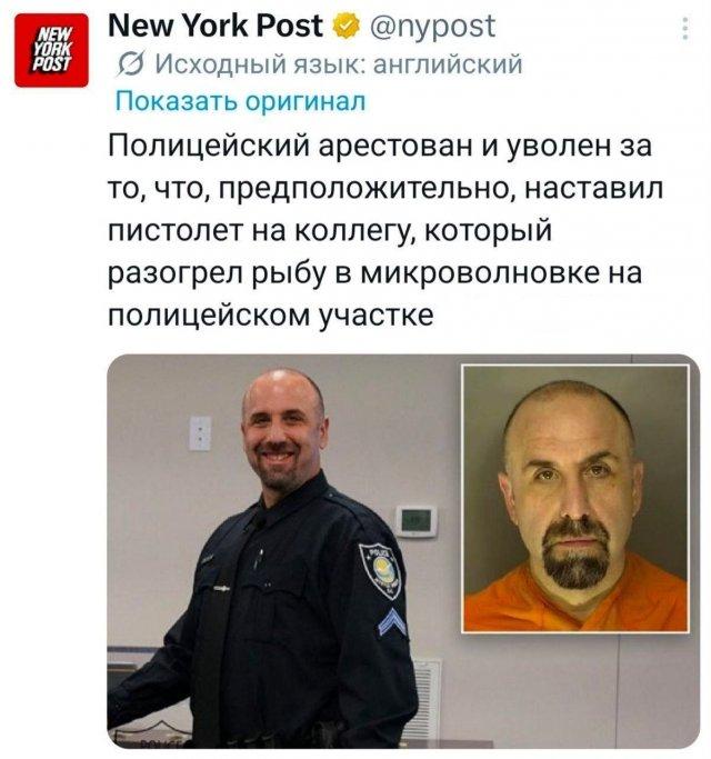 �������� �������� ������ ��� ���� (15 ����)