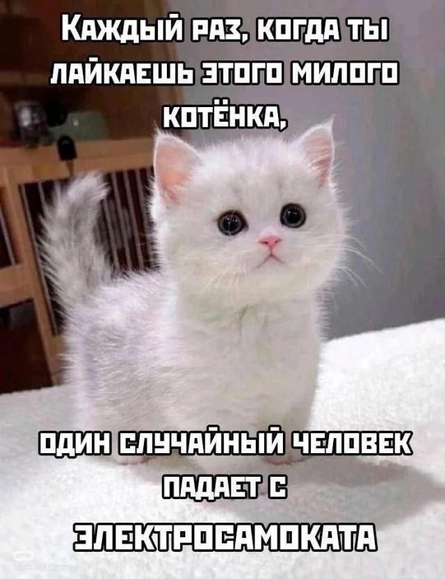 ������� �������� (15 ����)