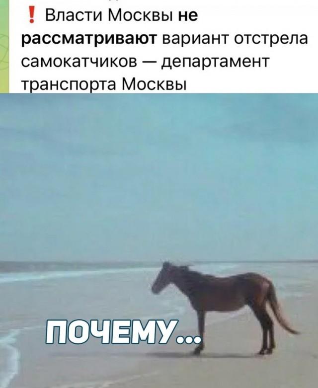 �������� ���������� ���� �3981 (30 ����)